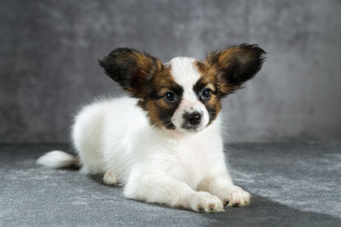 Similar image 10843431