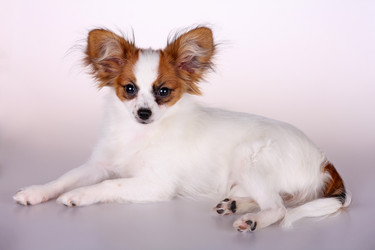 Similar image 10843441