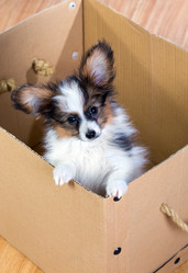 Similar image 10843442