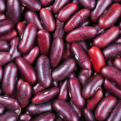 Similar image 10843519