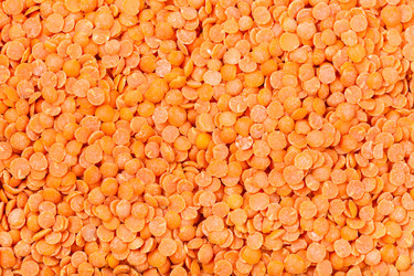 Similar image 10843526