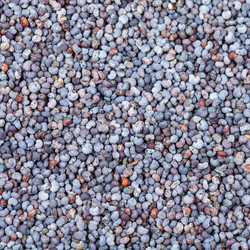 Similar image 10843542