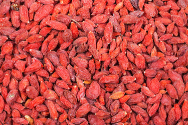 Similar image 10843563