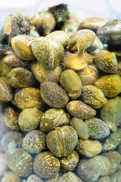 Фотография на тему Маринованные каперсы | PressFoto