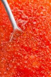 Similar image 10843665