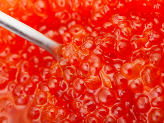 Similar image 10843686