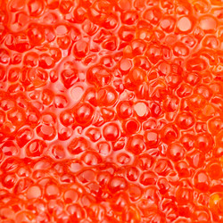 Similar image 10843687