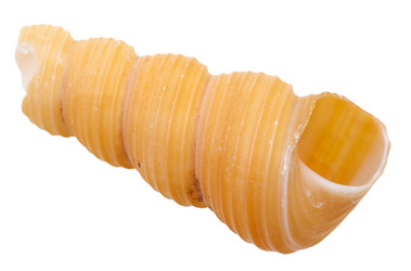 Similar image 10843769