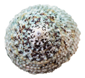 Similar image 10843770