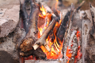 Similar image 10843840