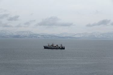 Similar image 10843843