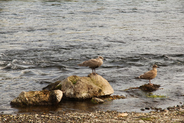 Similar image 10843847