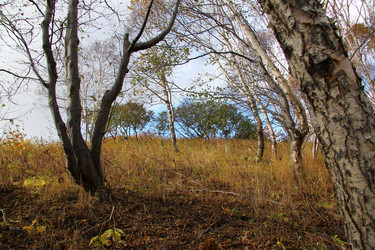 Similar image 10843851