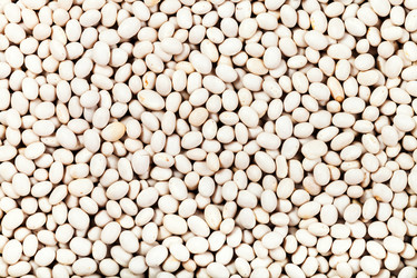 Similar image 10844249