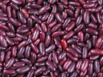 Similar image 10844251