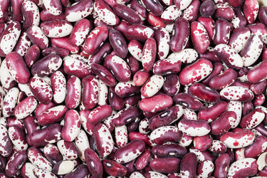 Similar image 10844278