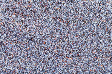 Similar image 10844289