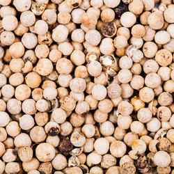 Similar image 10844295