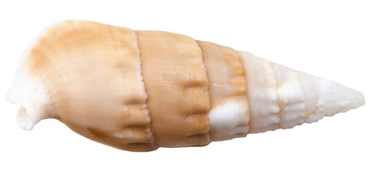 Similar image 10844357