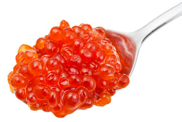 Similar image 10844372