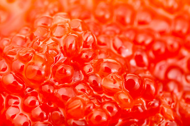 Similar image 10844376