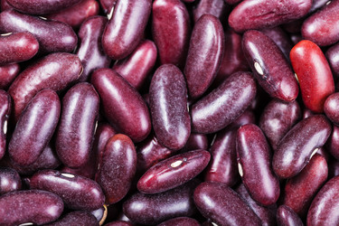 Similar image 10844428