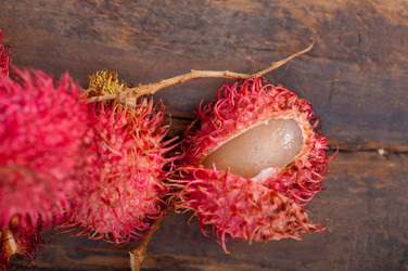 Similar image 10844685