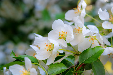 Similar image 10844854