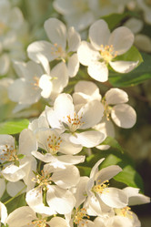 Similar image 10844856