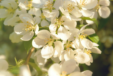 Similar image 10844857