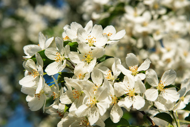 Similar image 10844858