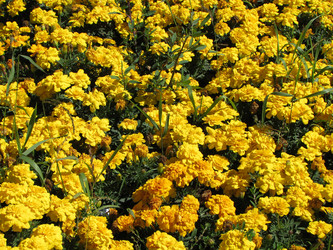 Similar image 10844859