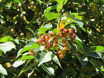 Similar image 10844860