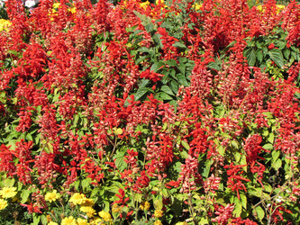 Similar image 10844861