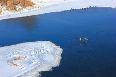 Similar image 10844904