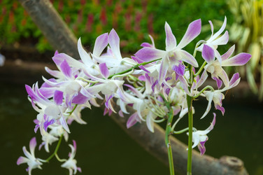 Similar image 10844967