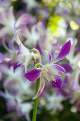 Similar image 10844968