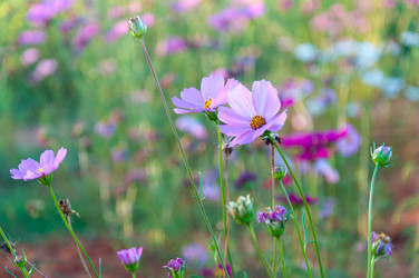 Similar image 10844969