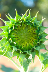 Similar image 10844971