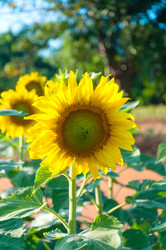 Similar image 10844973