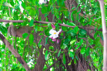 Similar image 10844974