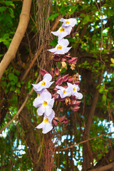 Similar image 10844975