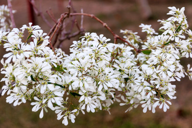 Similar image 10844977