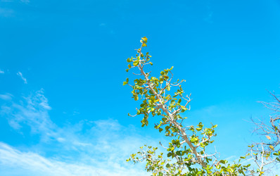 Similar image 10844978