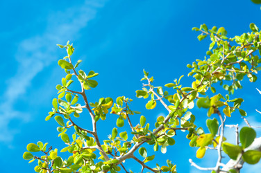 Similar image 10844979