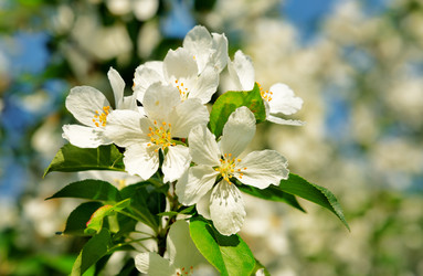 Similar image 10844989