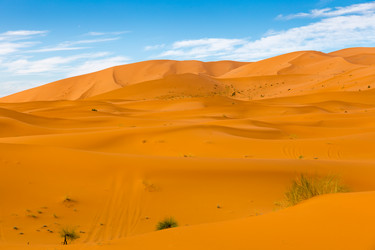 Similar image 10845002