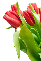 Similar image 10845107