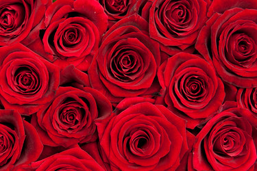 Similar image 10845108