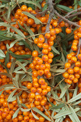 Similar image 10845131